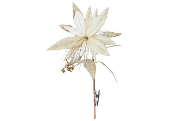 bnk9eymymc1dj2a0p1mhbb9qh3usntd8.jpg Decorative flower Premium Strelitzia on a clip