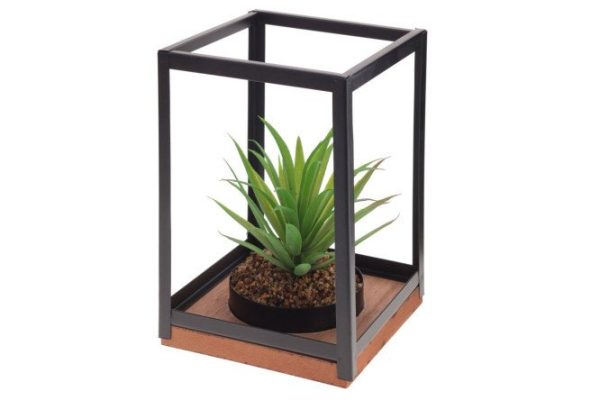 Flower arrangement 789661 14x14 cm