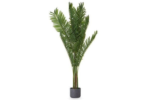 Artificial plant Palm tree in a plastic pot 75x75 cm