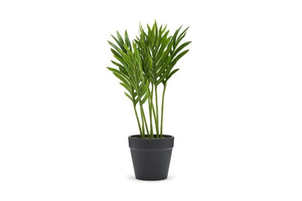 Artificial Areca plant in a plastic pot 28x28 cm