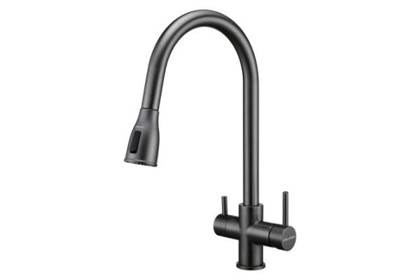 Kitchen mixer PAULMARK Lange La214212-GM