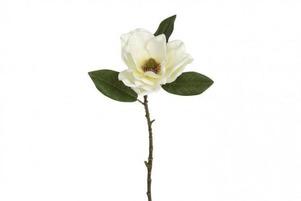 e516c96d18c9922a47cce62798605cac.jpg Artificial plant Magnolia 72 cm