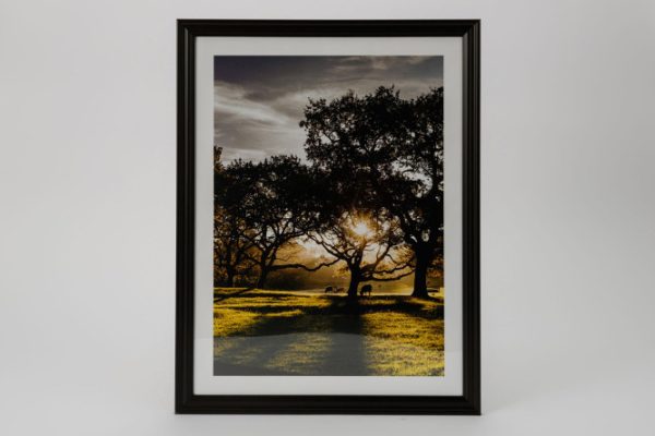 Framed poster Dawn 31.8x41.8 cm