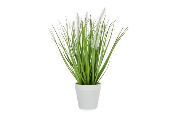 Artificial plant Grass in a pot 15x15 cm