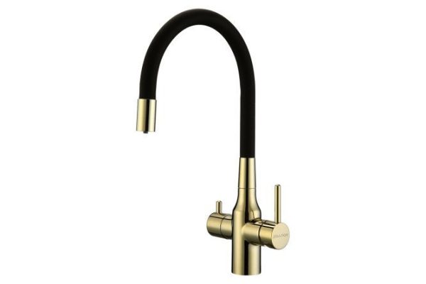 Kitchen mixer PAULMARK Salix Sa213419-G