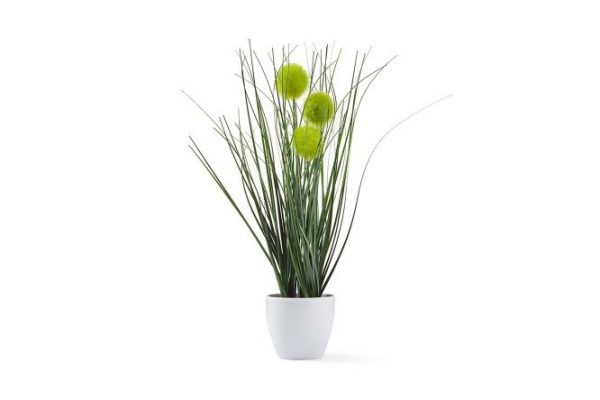 fhzcvo2fy9t1o4ai2u6jbtrldrp286we.jpg Artificial plant in pot Alium 18x18 cm