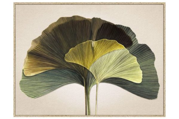 Reproduction in frame Green Ginkgo 81x61 cm