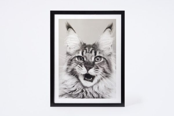 Poster in frame Animals 32x42 cm