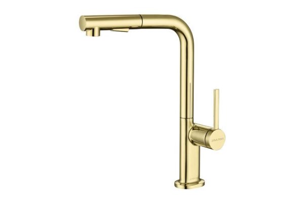 Kitchen mixer PAULMARK Neo Starke Ne214419-G