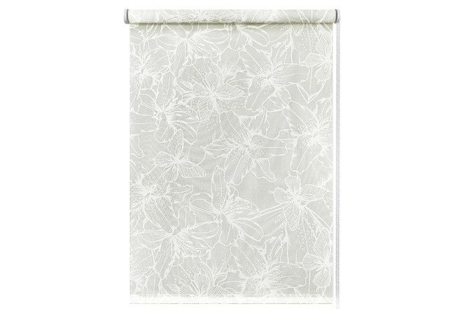Roller blind Lily, white, 68x160 cm