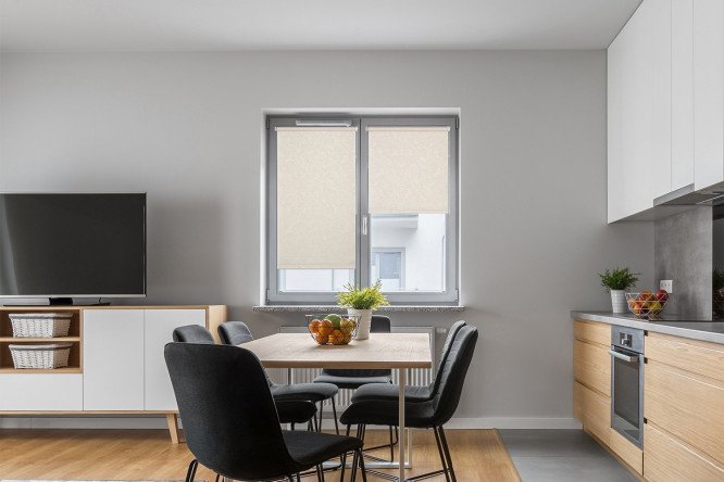 Roller blind MICASA Karlo Frost almond color, 43x175 cm