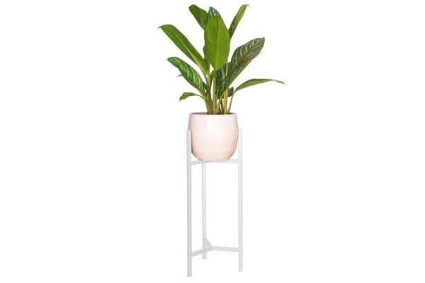 Stand for indoor plants Trinity 60 24x60x22 cm, 1 tiers, Floor-standing