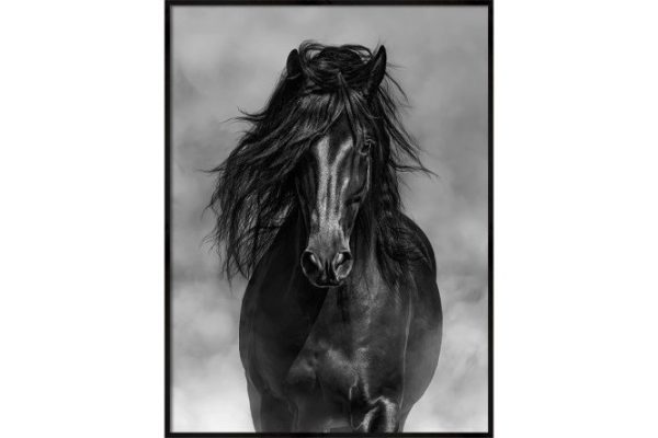 Canvas in frame CF-90 02 90x120 cm