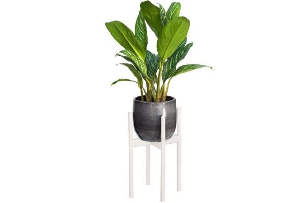 Stand for indoor plants Oxalis 40 23.5x40x23 cm, 1 tiers, Floor-standing