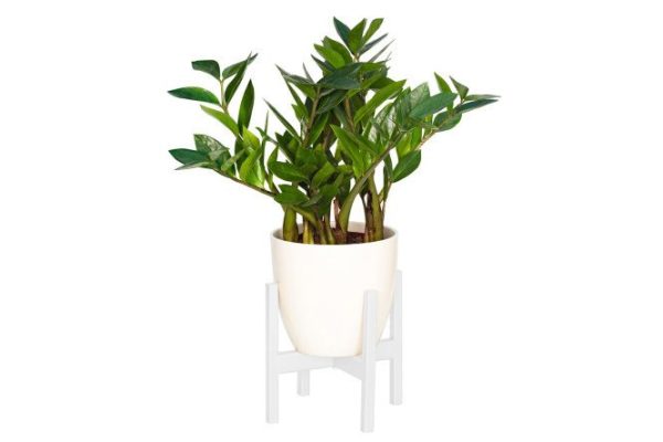Stand for indoor plants Oxalis 20x20x20 cm, 1 tiers, Floor-standing