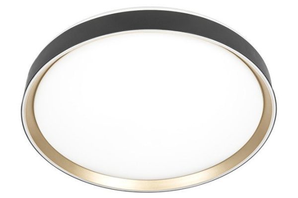 Lamp CITILUX Boss 21 sq.m., LED, 50 cm