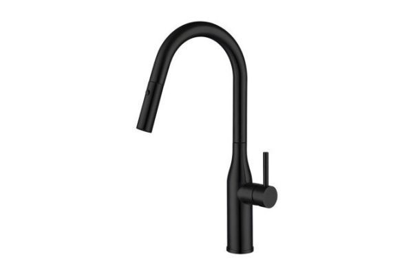 Kitchen faucet G4398-46