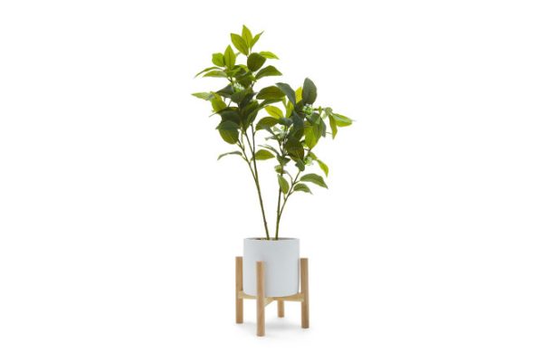 jncydfrmar8lw2kd2zxo2io5rv20j7fu.jpg Artificial plant Tree in a pot with stand 14x14 cm