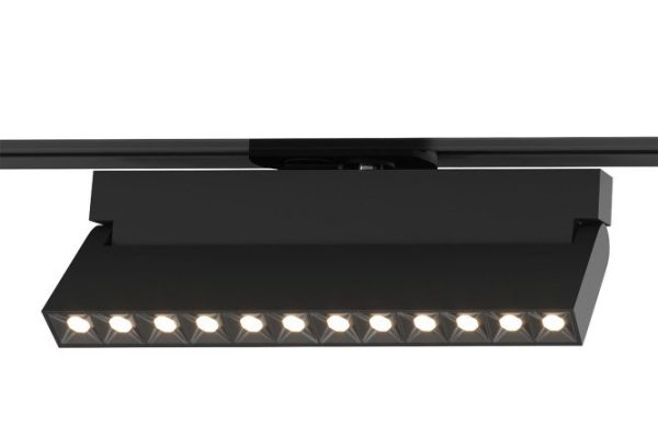 Ceiling lamp ELEKTROSTANDARD Garda