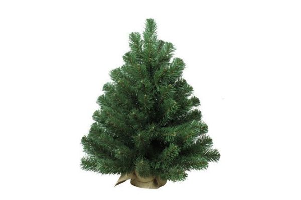 Artificial spruce Fairy