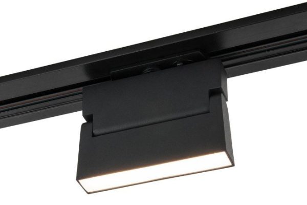 Ceiling lamp ELEKTROSTANDARD Arda