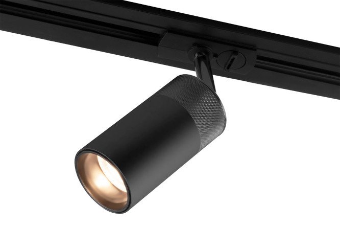 Ceiling lamp ELEKTROSTANDARD Riffe