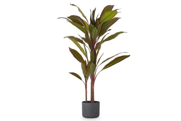 Artificial Dracaena plant in a plastic pot 68x68 cm