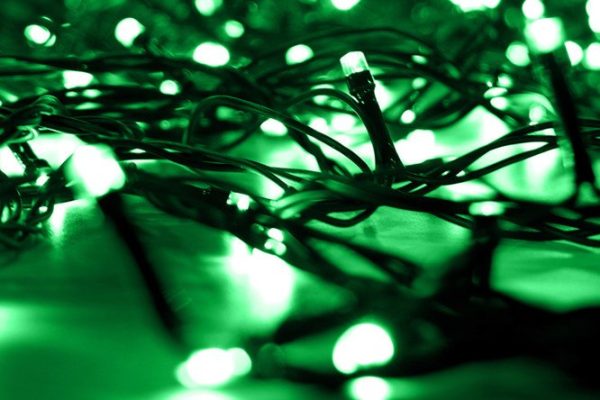 Electric garland ILD100C-G 5 m