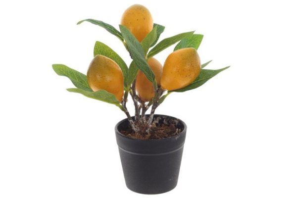 lwb1vuayofl58wj45swew7x2eii57ceq.jpg Artificial tree Lemon 14x14 cm