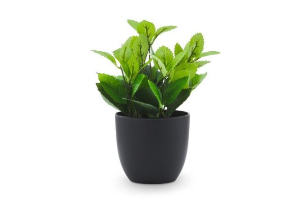 Artificial plant Rosemary in a plastic pot 15x15 cm