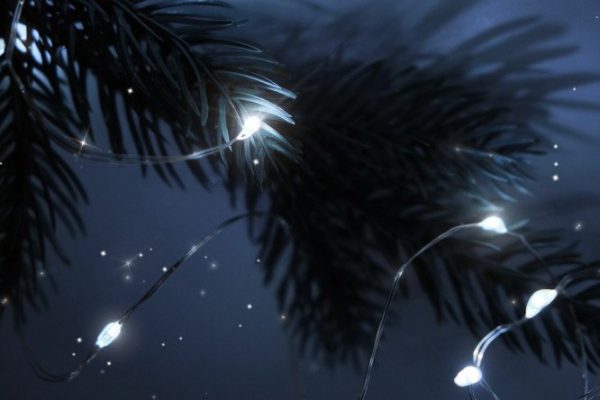 Set of electric garlands FAZA DC-G05-20WS 2 2 m