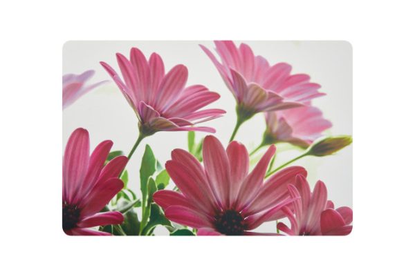 Table napkin Hall Flowers 43x0.1x29 cm