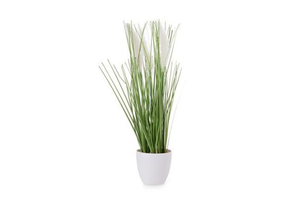 Artificial plant Decorative cane in a pot 16x16 cm