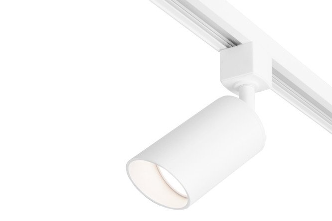 Ceiling lamp ELEKTROSTANDARD Splay