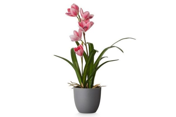 Artificial plant Asian orchid in a pot 23x21 cm