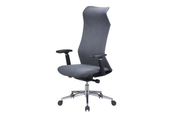 Office chair CHAIRMAN CH583