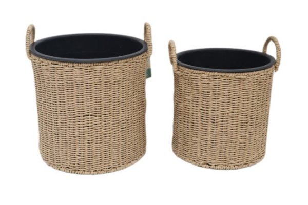 Set of Nasturtium flower pots