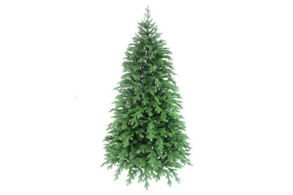 Artificial spruce Greenlandya