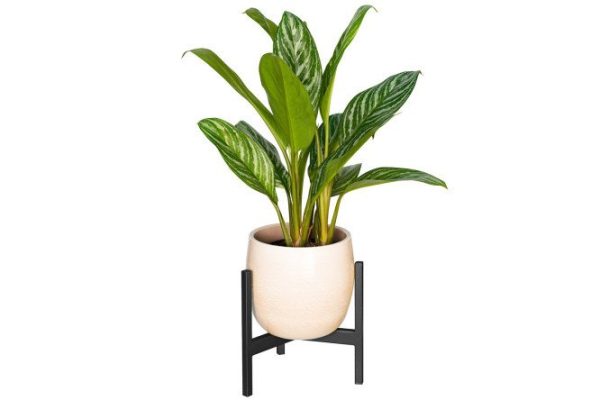 Stand for indoor plants Trinity 25.5x25x23 cm, 1 tiers, Floor-standing