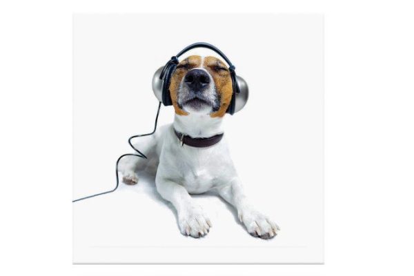 Canvas Idea 30x30 cm