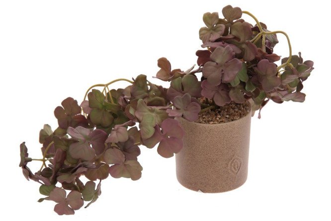 Flower arrangement 795689 12x12 cm