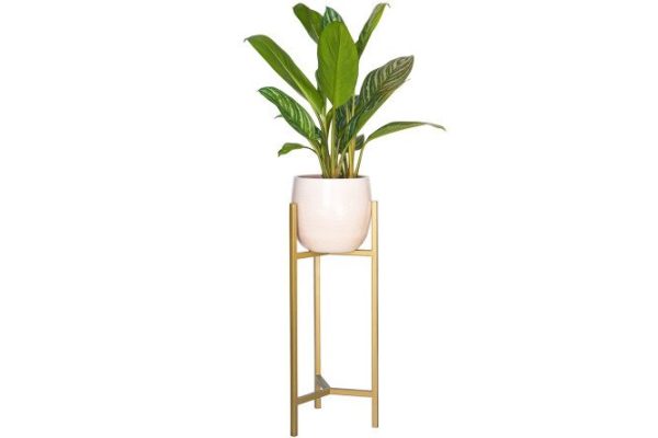 Stand for indoor plants Trinity 60 24x60x22 cm, 1 tiers, Floor-standing