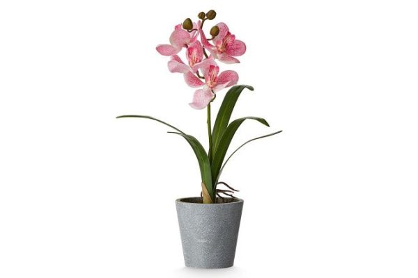 Artificial Orchid plant in a pot 24x18 cm