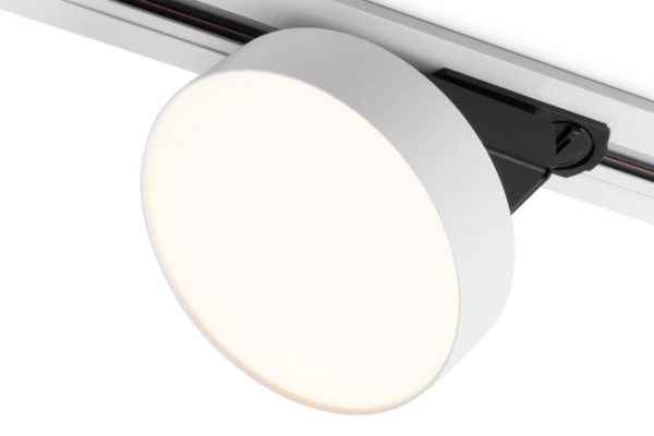 Ceiling lamp ELEKTROSTANDARD Pila