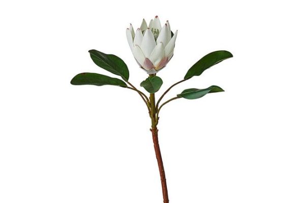 Artificial Protea branch 18x18 cm
