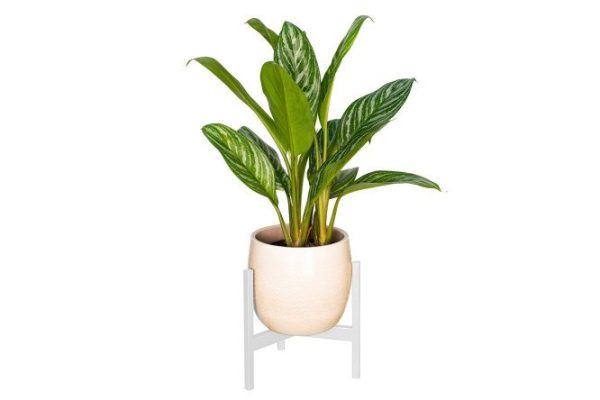 Stand for indoor plants Trinity 25.5x25x23 cm, 1 tiers, Floor-standing