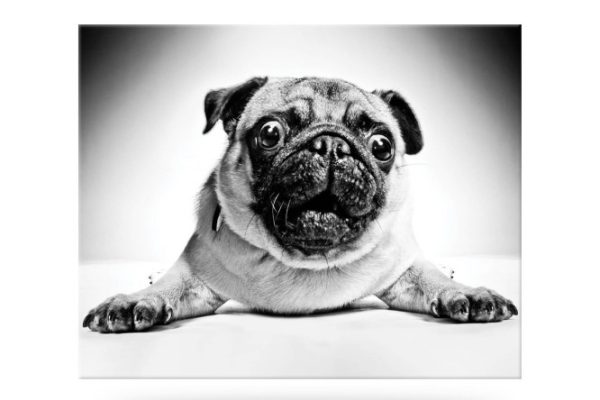 Canvas Idea 50x40 cm