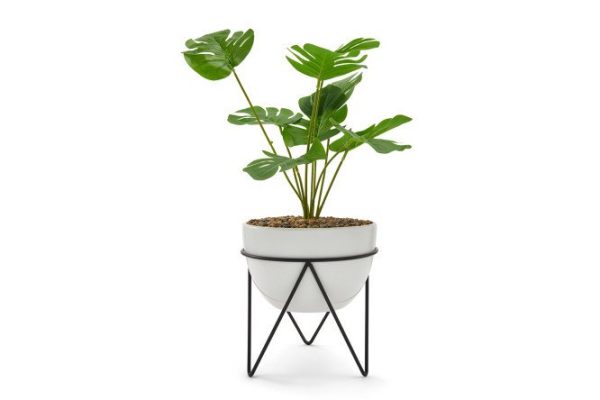 spb4zu1g0fne6lb873njfnewfieo8fhb.jpg Artificial plant in pots EG164 32x32 cm