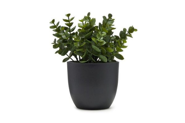 Artificial plant Eucalyptus 14x14 cm