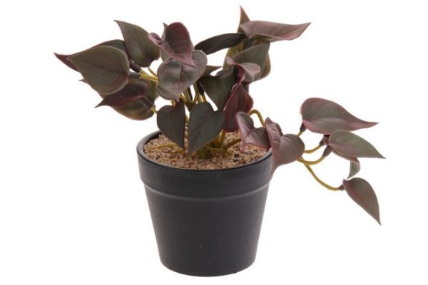 Flower arrangement 795692 17x11 cm